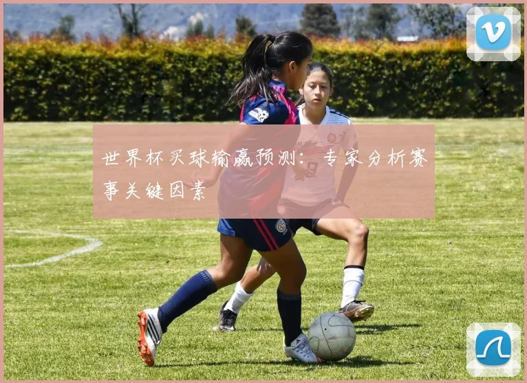 世界杯买球输赢预测:专家分析赛事关键因素