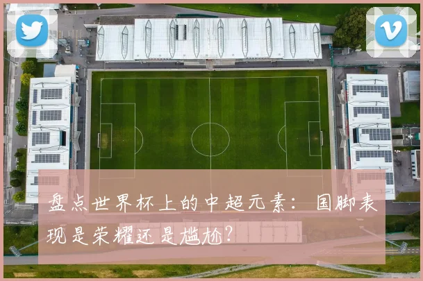 盘点世界杯上的中超元素:国脚表现是荣耀还是尴尬?