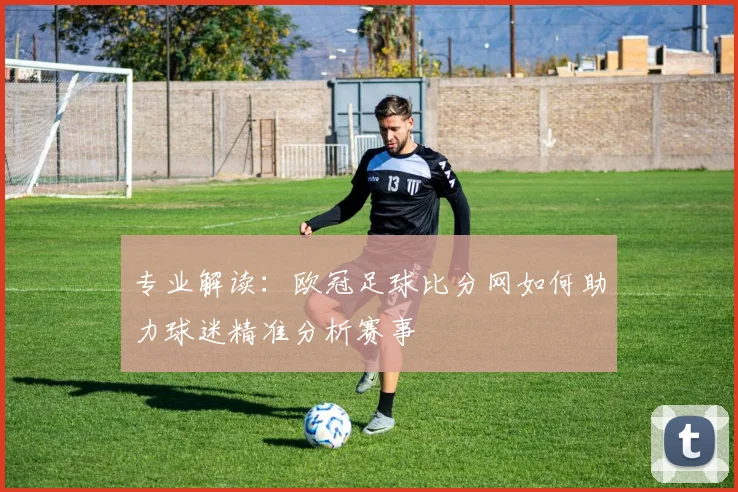 专业解读：欧冠足球比分网如何助力球迷精准分析赛事